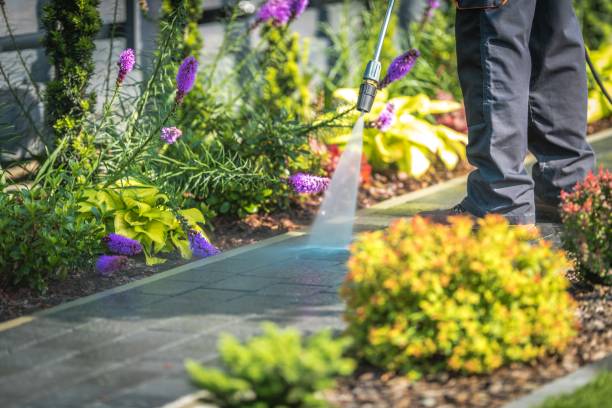 Best Driveway Pressure Washing  in Hines, OR